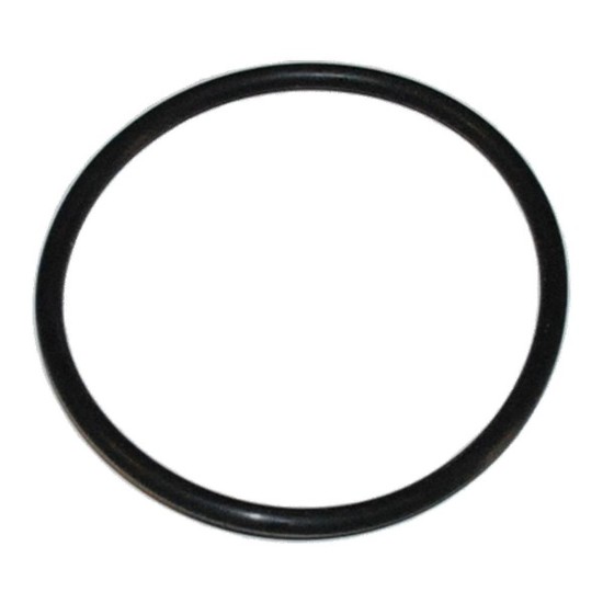 Veľký o-krúžok pre filtre Cintropur NW18/25/32 (REF. 11)