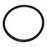 Veľký o-krúžok pre filtre Cintropur NW18/25/32 (REF. 11)